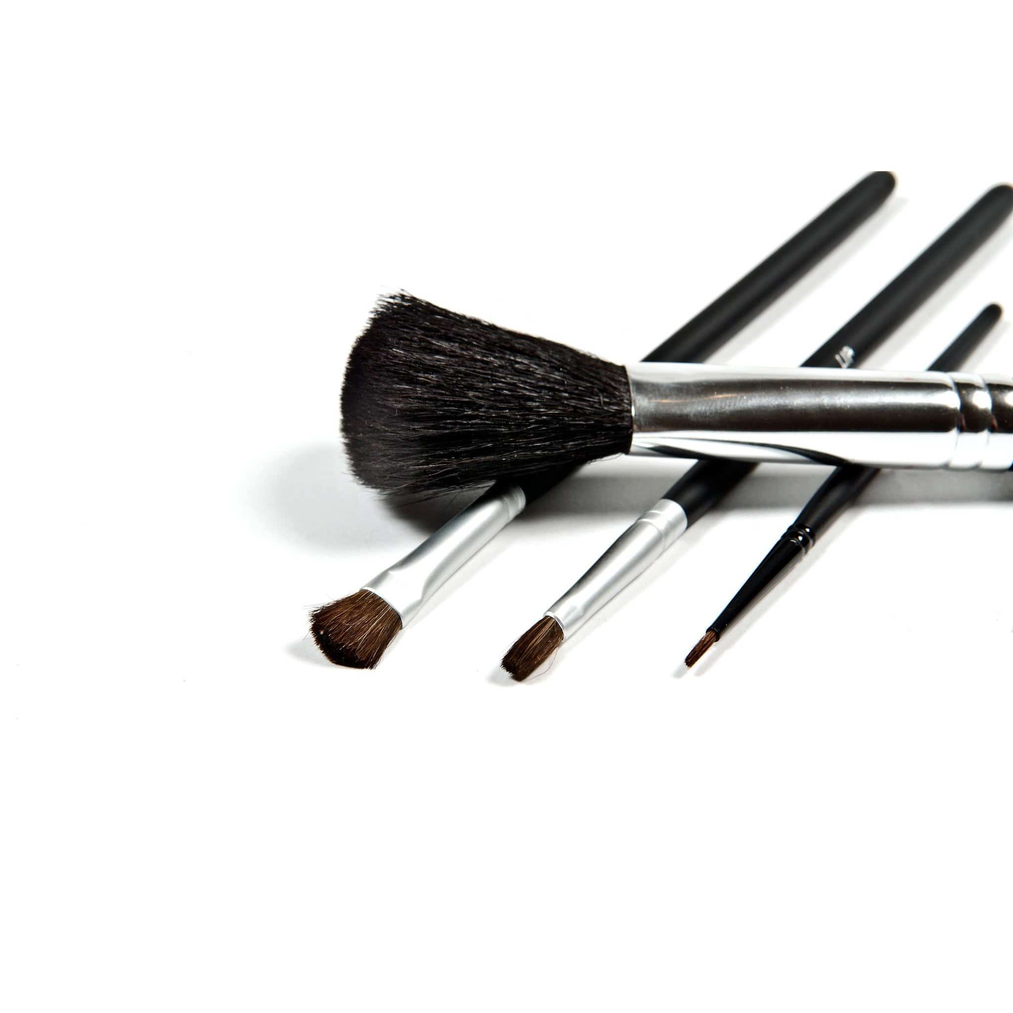 Professional Cosmetics Brush Collection